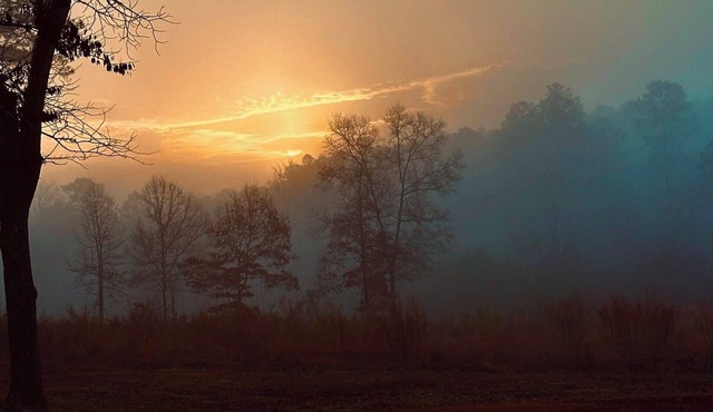 Escape to the peaceful, Cottage 3:12 at Suttle Ridge in Arkadelphia, AR