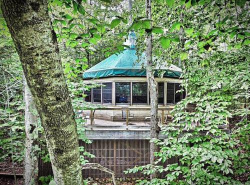 Escape to Tree House Island Life