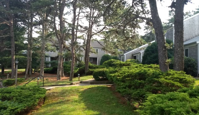 Family Friendly Resort- close to Cape activities, Falmouth and Woods Hole!