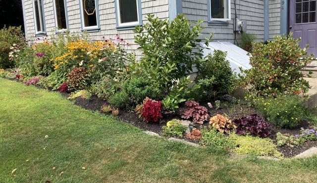 Family/Pet Friendly Apartment, 5 minute walk to Muscongus Cove