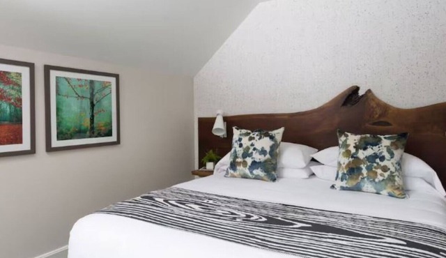 Field Guide Lodge | Modern Escape Close to Slopes, Hikes & Dining