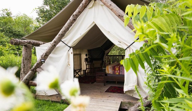Firelight Camps