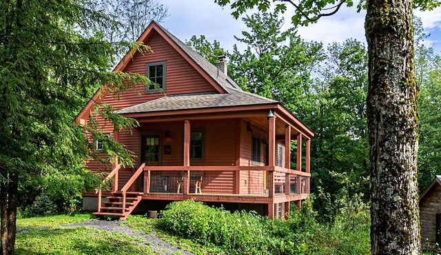 Fog Hill Cabin is a peaceful retreat set in a forest landscape. Stargazing Bliss
