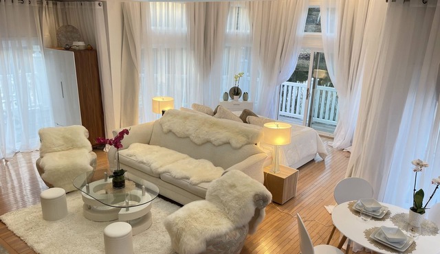 Former 50 cents/ MIKE TYSON`S LAKE HOUSE STUDIO @ MANSION WITH POOL, TENNIS COURT, GYM!