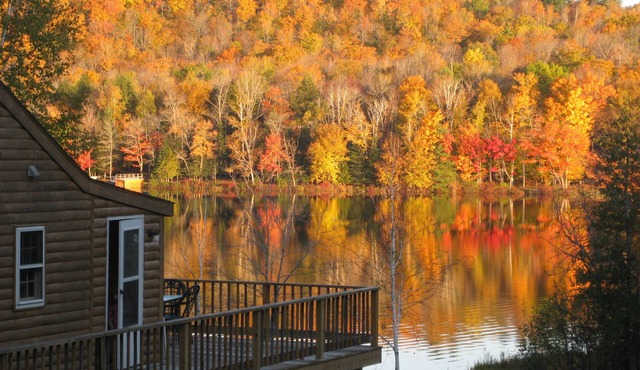 Four Season House - Lake Frontage with Kayaks & Dock