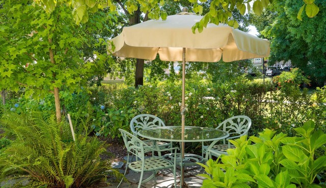 Fox Den | Main St. Food, Wine & More! Dog Friendly