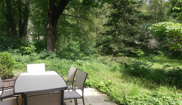 Garden Studio with Private Full Bath & Sauna. Self check-in.
