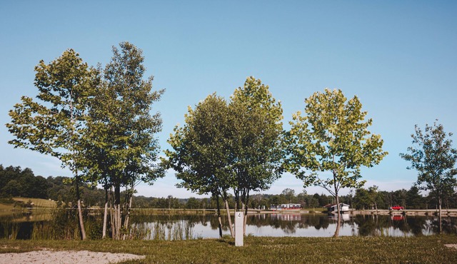 Glamplyfe in Cambridge: RV Site #3