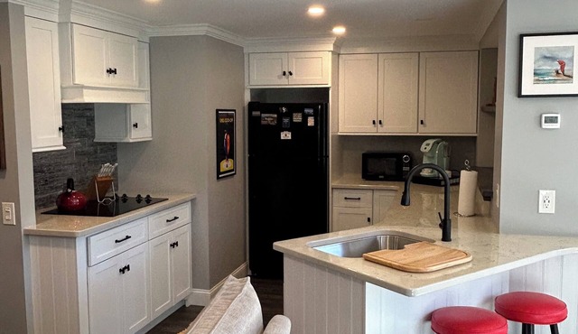 Gorgeous 1-bedroom apartment in nice Holland neighborhood