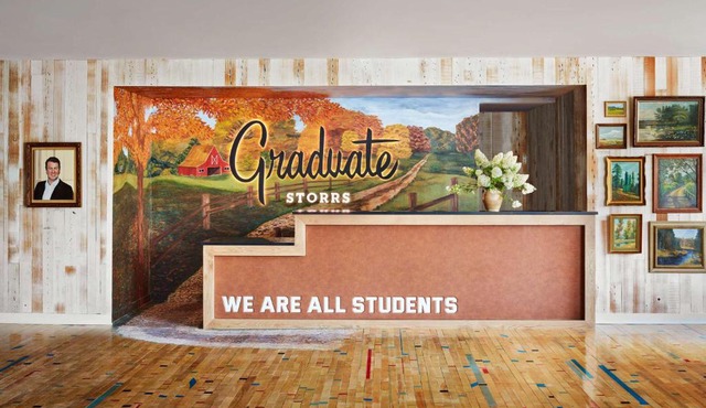 Graduate by Hilton Storrs