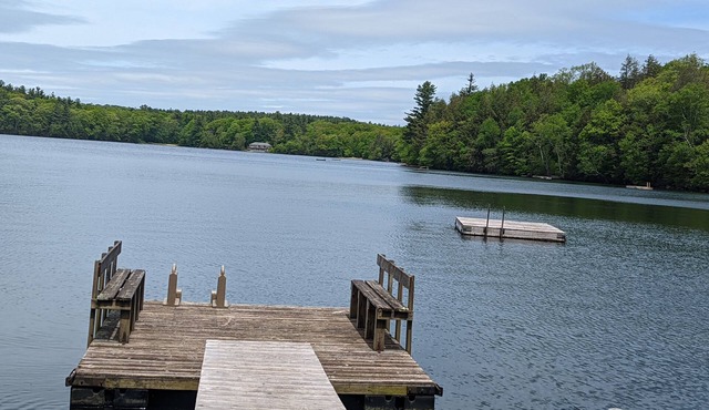 Great Family Cabin in the woods on a lake.