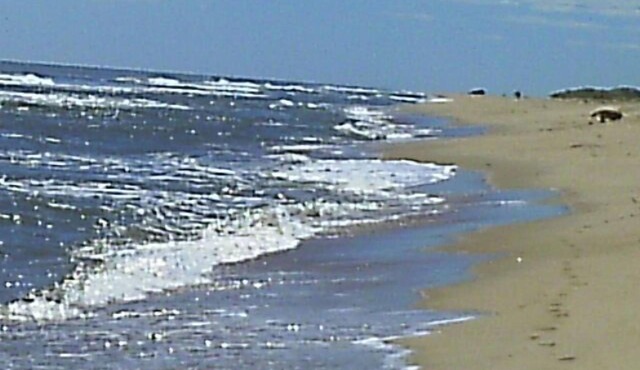 Hampton's Beach House With Dunes, Views & Ambiance! Ocean & Bay Beaches!