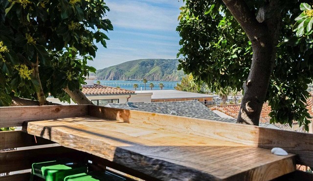 Hang Ten at the Studio! Vibe in This Groovy Avila Beach Studio Condo!