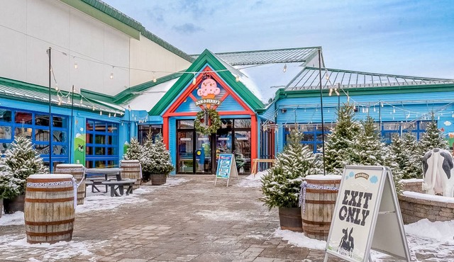 Historic charmer with a hot tub, grill, multiple kitchens, and mountain views
