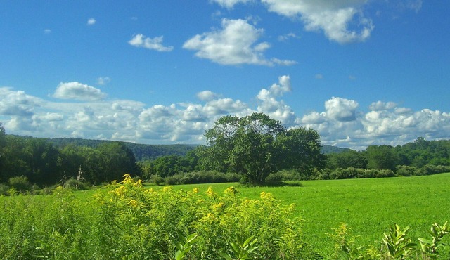 House on Appalachian Trail, walking distance from NYC trains. 3bd/1ba, 3 acres