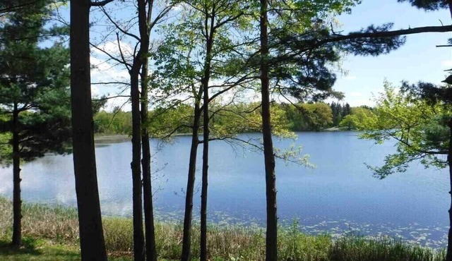 Hudson: Martin Van Buren lake cottage lll (3)
