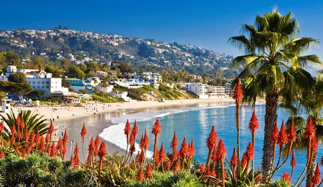 Hummingbird Hideaway - Peaceful & Private