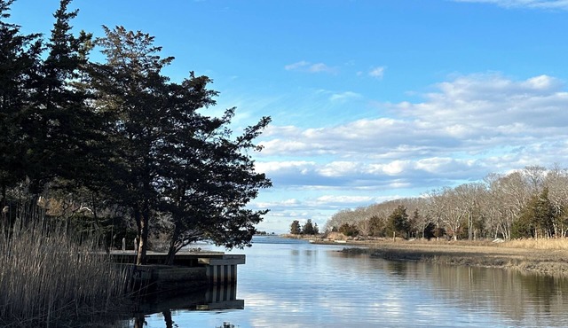 Iconic Charles Moore Springs home with dock and our home is pet-friendly