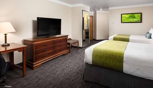 Ideal Mix of Comfort and Value! Indoor Pool, Breakfast, Pets Allowed, Shuttle!
