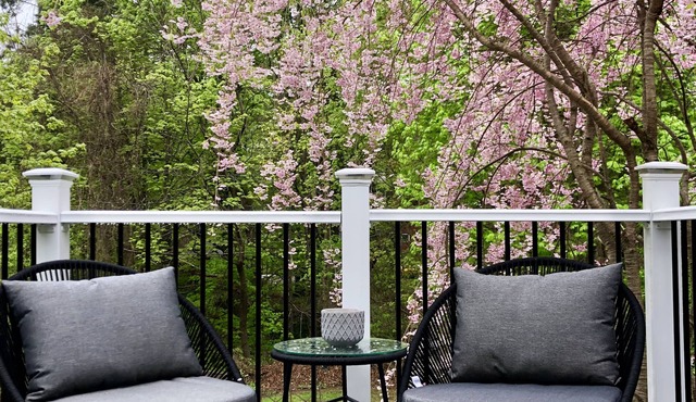 In town, newly remodeled studio with private balcony