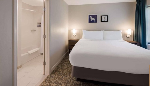Just What You Were Looking For! 2 Modern Units, Pet-Friendly, Parking, Pool!