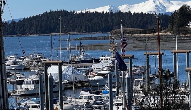 Kelli's Harbor Suites - In Auke Bay Walking Community - DISCOUNT ON TOURS