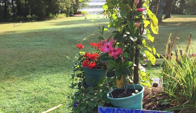 Lakefront Summer Cottages~Sparkling clean social distancing space!