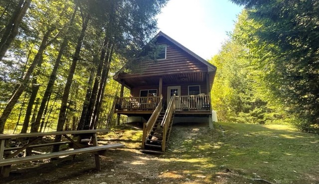 Lakeside Glamping Cabins for the Whole Family/Pets Too!