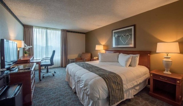 Lakeview Golf Resort Hotel Studio w Fitness Room & Spa Sauna