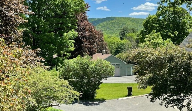 Lenox Retreat Near Tanglewood, Including Rescued Mini Donkeys!