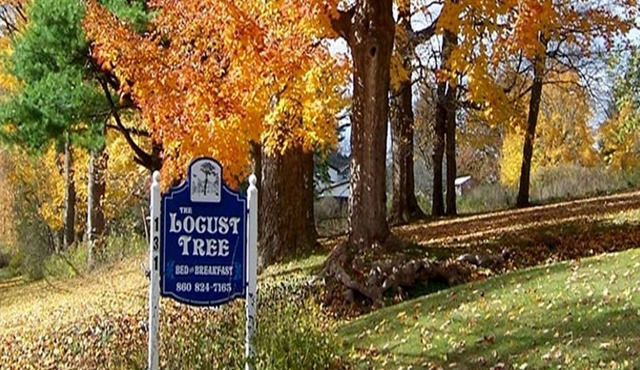 Locust Tree Bed and Breakfast LLC