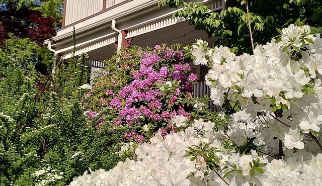 Lovely, bright 2-BR in historic Arlington