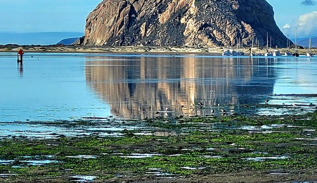 Low rates middle of the week for October. 15 minutes from Pismo Beach.