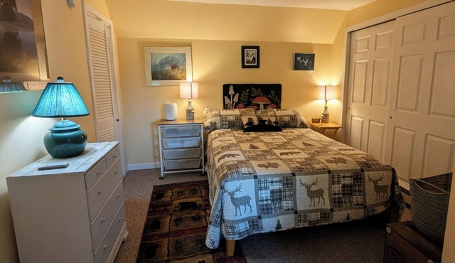 Mad River Valley furnished 1BR apartment,full kitchen/bath 20 minutes to skiing
