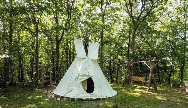 Magic Forest Farm Garden Tipi
