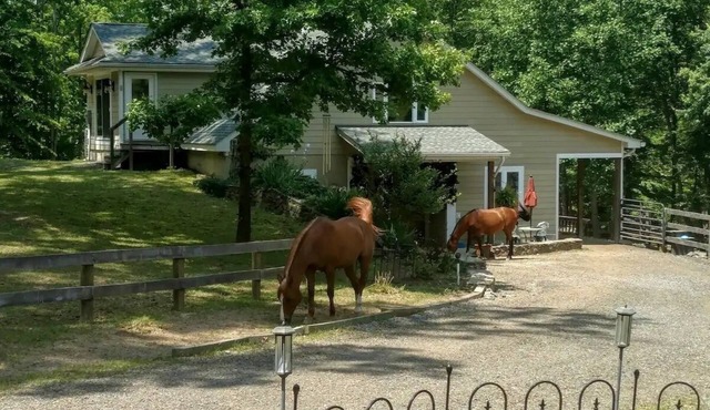 Magical Unicorn Hollow/Wineries/Great Meadows Events Fully furnished apartment