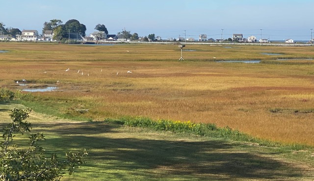 Marsh View Home!