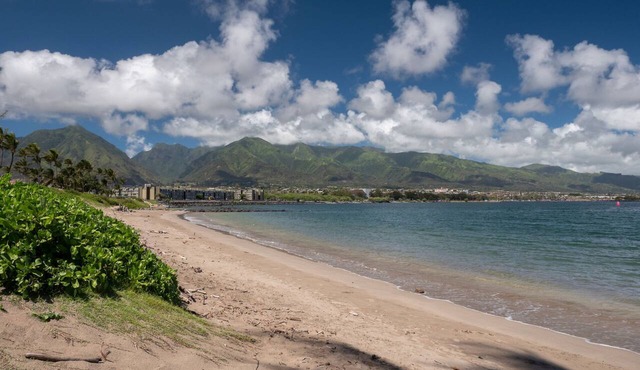 Maui Seaside Hotel