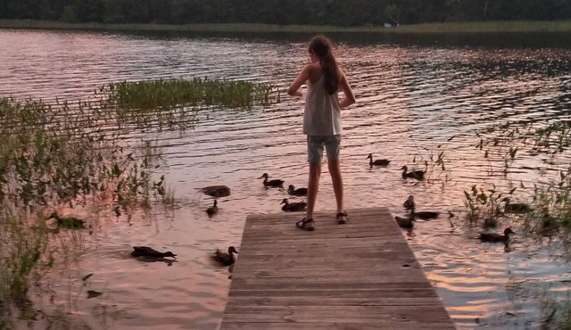 Memories Made Here -Maine Loon House-AcadiaNP/Downeast-Lakefront-WiFi/TVs-Kayaks