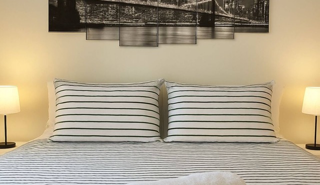 Modern 1-bedroom in the heart of New Haven!