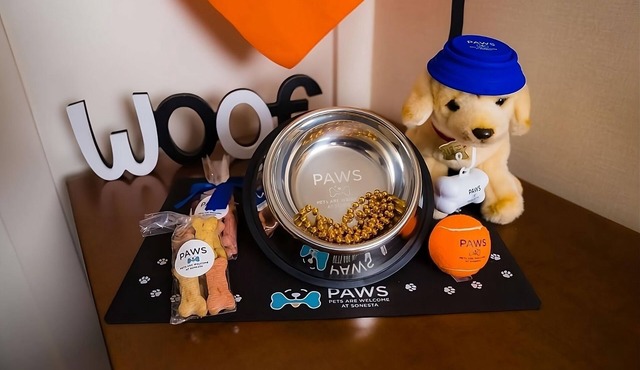 Modern Escape | Pet-Friendly, Full Kitchen with Free WiFi!