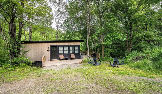 Modern Tiny Home, Wraparound Deck