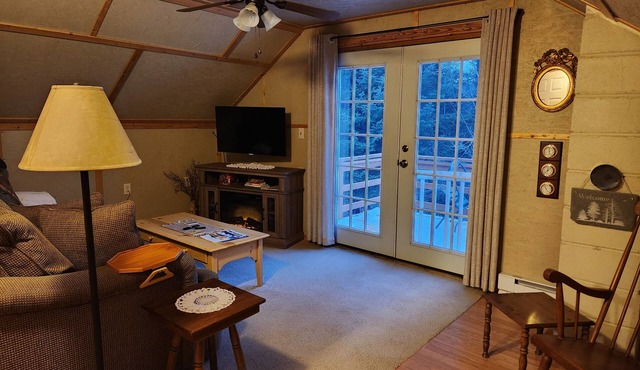Mountain Cabin 1-BR apartment, stunning views, w/climate-controlled storage!