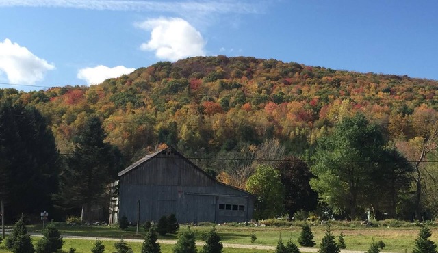 Mountains, pond, old barn, hiking trails- quintessential Vermont