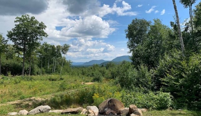 Mountainside Cabin! Pets Welcome, Fantastic Views! Private Retreat!