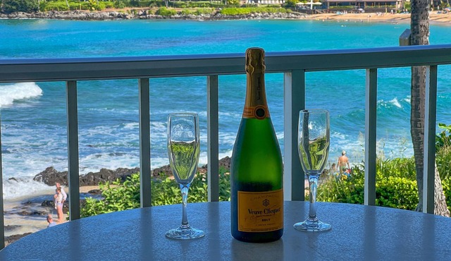 Napili Shores A-201 - Ocean Front - Book Now!