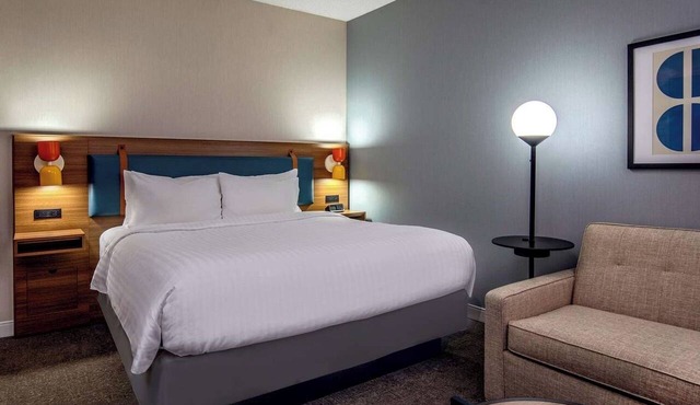 Near Gillette Stadium and Wrentham Village Premium Outlets, Pet-Friendly Stay!