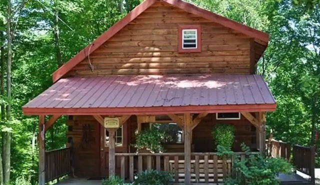 Nestled in nature, quaint & cozy little upscale rustic cabin.