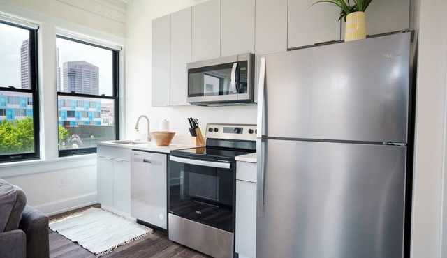 New Comfortable Modern Downtown Condo