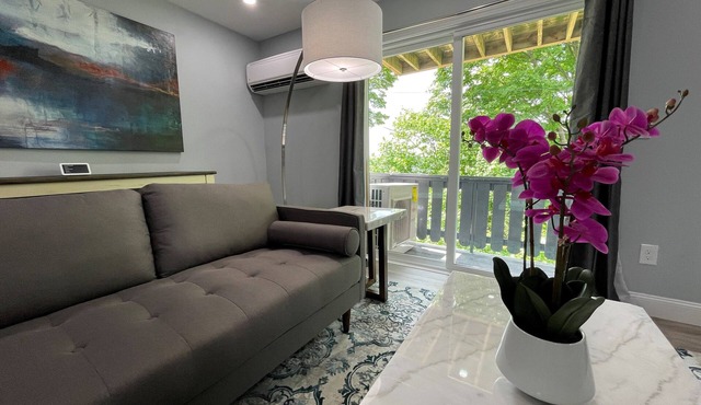 New, Modern 2 BR Apartment near Hospitals | HBHS